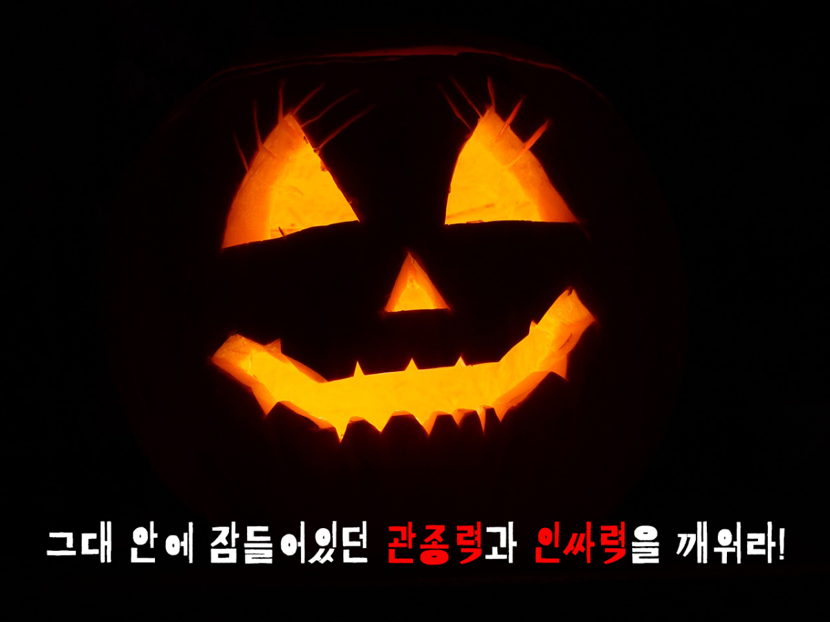 pumpkin-모여라.png